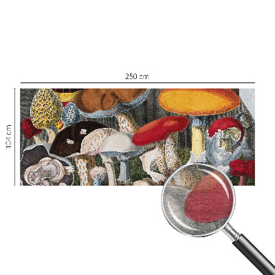 Wallpaper mural Botanical mushrooms