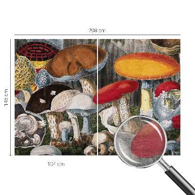 Wallpaper mural Botanical mushrooms