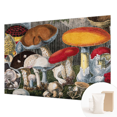 Wallpaper mural Botanical mushrooms