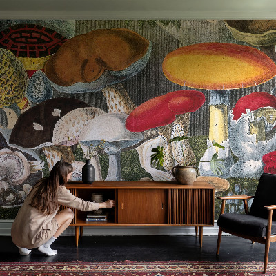 Wallpaper mural Botanical mushrooms