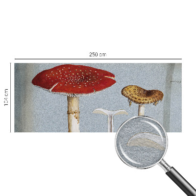 Wall mural for bedroom Mushroom engravings