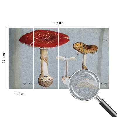 Wall mural for bedroom Mushroom engravings