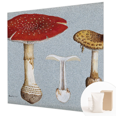 Wall mural for bedroom Mushroom engravings
