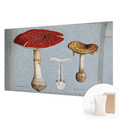 Wall mural for bedroom Mushroom engravings
