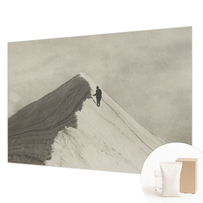 Photo wall mural Lone climber