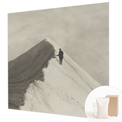 Photo wall mural Lone climber