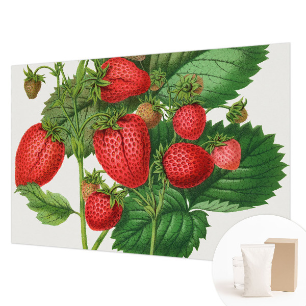 Wall mural for living room Summer fruits