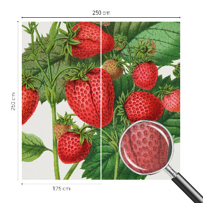 Wall mural for living room Summer fruits