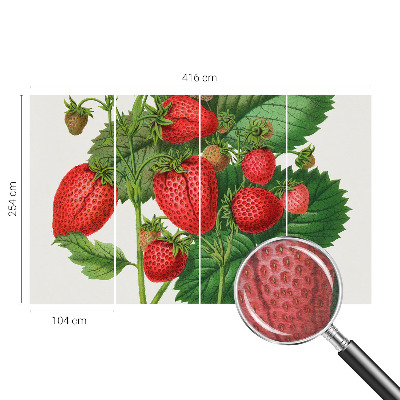 Wall mural for living room Summer fruits