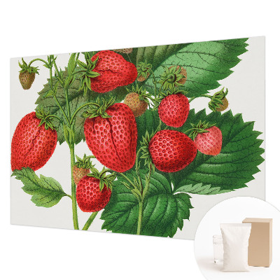 Wall mural for living room Summer fruits