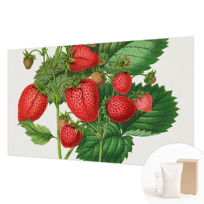 Wall mural for living room Summer fruits