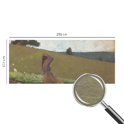 High quality photo wallpaper A quiet scene