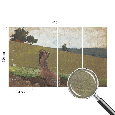 High quality photo wallpaper A quiet scene