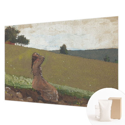 High quality photo wallpaper A quiet scene