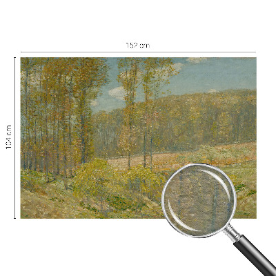 Custom size wall mural Forest landscape