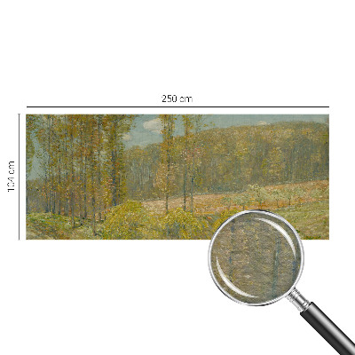 Custom size wall mural Forest landscape