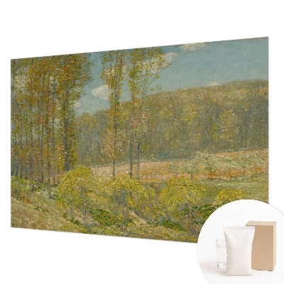 Custom size wall mural Forest landscape