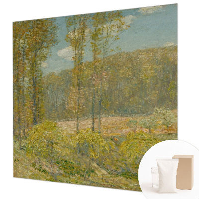 Custom size wall mural Forest landscape