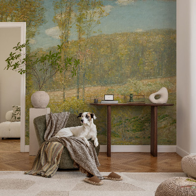 Custom size wall mural Forest landscape