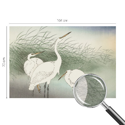 Wall mural for bedroom Herons in the grass