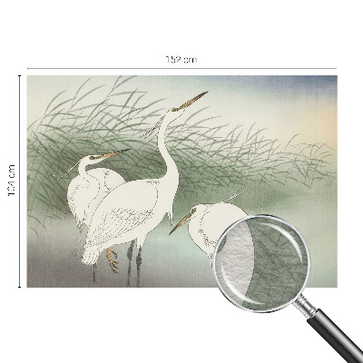 Wall mural for bedroom Herons in the grass