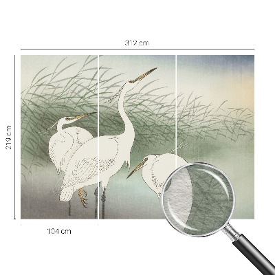 Wall mural for bedroom Herons in the grass