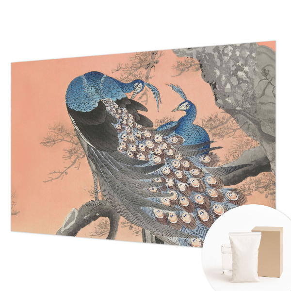 Bedroom wall mural wallpaper Peacock elegance