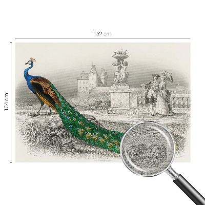 Large wall mural Colorful feathers