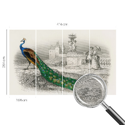 Large wall mural Colorful feathers