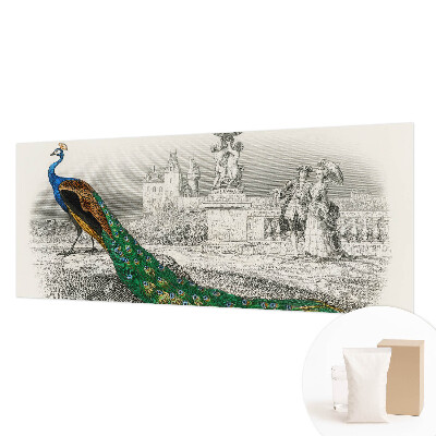 Large wall mural Colorful feathers