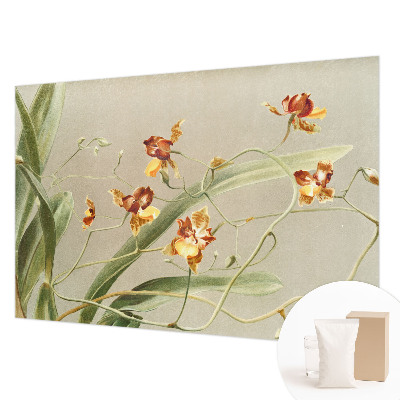 Wallpaper mural for living room Classic orchids