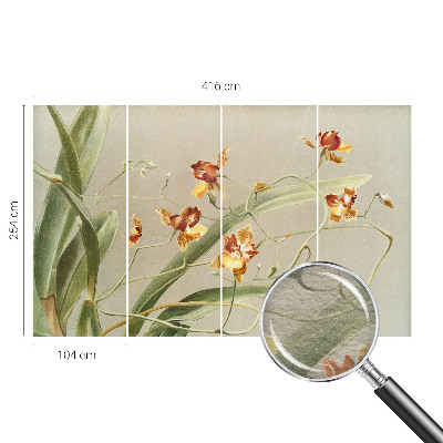 Wallpaper mural for living room Classic orchids