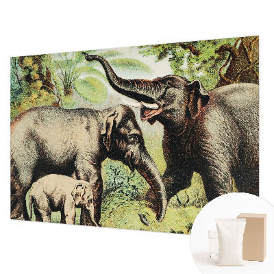 Wall mural for living room Family elephants