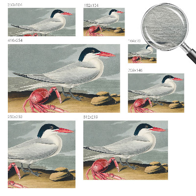 Non-woven wall mural Sea scenery