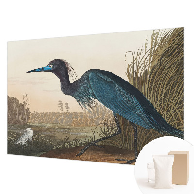 Wall mural for bedroom Water birds