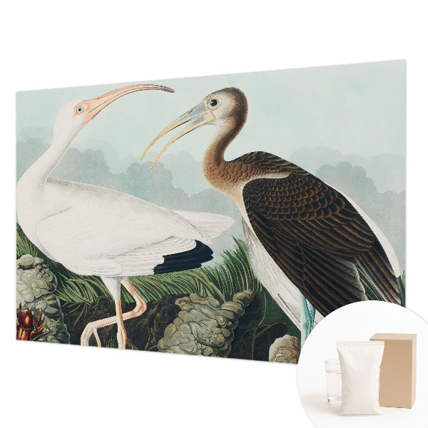 Non-woven photo wallpaper Bird couple