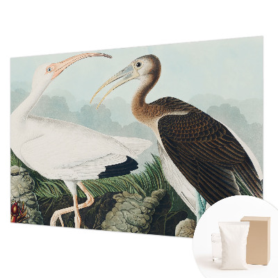 Non-woven photo wallpaper Bird couple