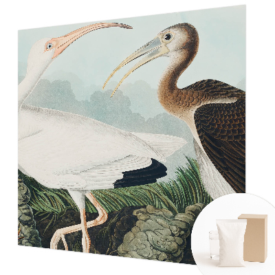 Non-woven photo wallpaper Bird couple