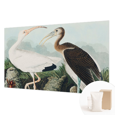 Non-woven photo wallpaper Bird couple