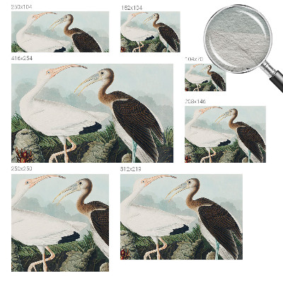 Non-woven photo wallpaper Bird couple