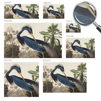 Photo wall mural Exotic nature