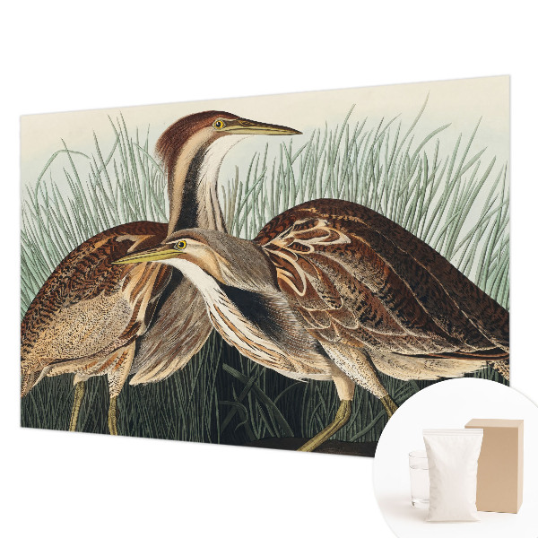 Wallpaper mural Realistic birds