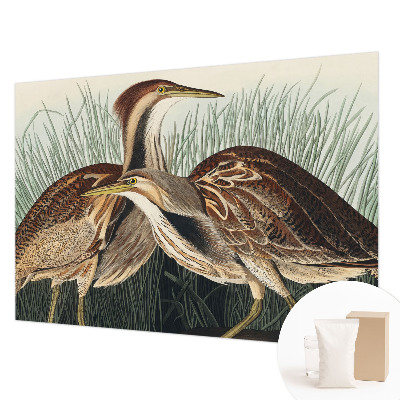 Wallpaper mural Realistic birds