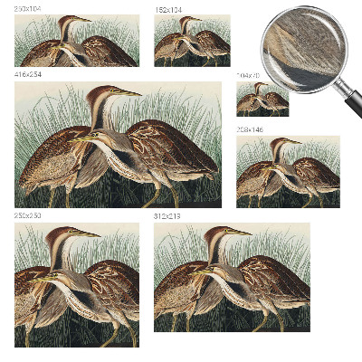 Wallpaper mural Realistic birds