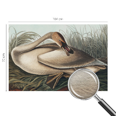 Photo wallpaper Natural bird