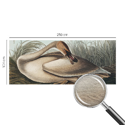 Photo wallpaper Natural bird