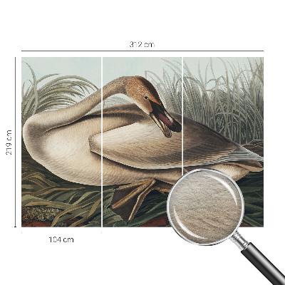 Photo wallpaper Natural bird