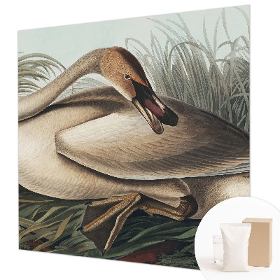 Photo wallpaper Natural bird