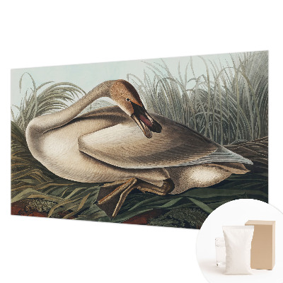 Photo wallpaper Natural bird