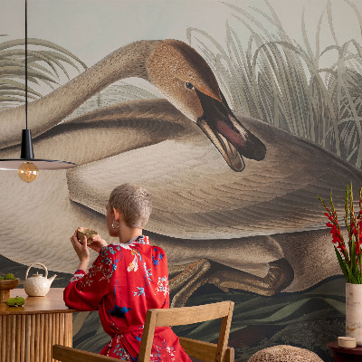 Photo wallpaper Natural bird